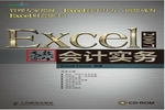 Excel 2007高效办公．会计实务